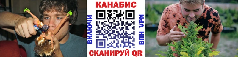 Канабис тримм  где можно купить наркотик  kraken   Шлиссельбург 